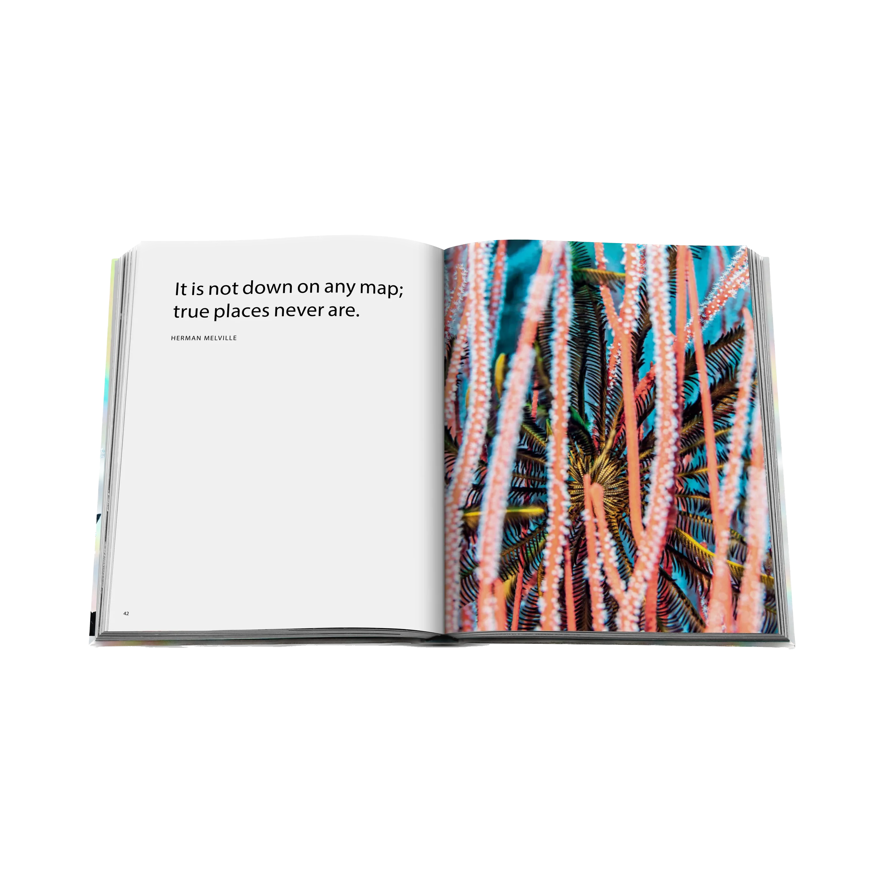 83495 ASSOULINE THE CORAL TRIANGLE LIVRO - Image 4