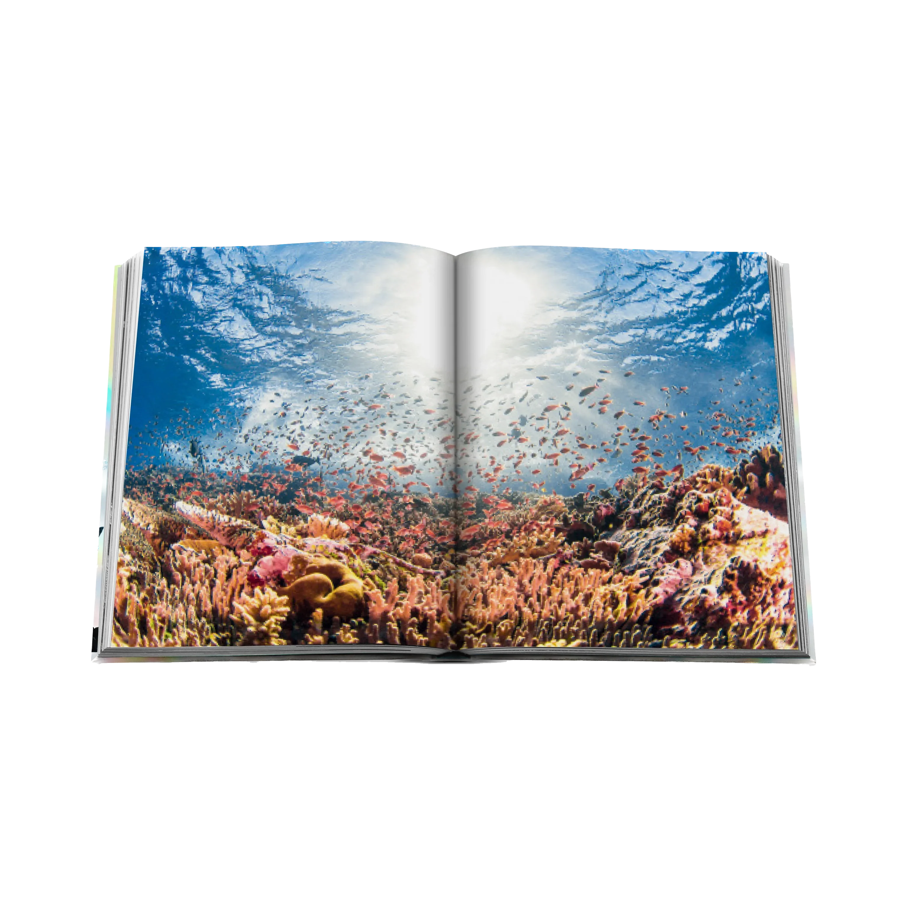83495 ASSOULINE THE CORAL TRIANGLE LIVRO - Image 5