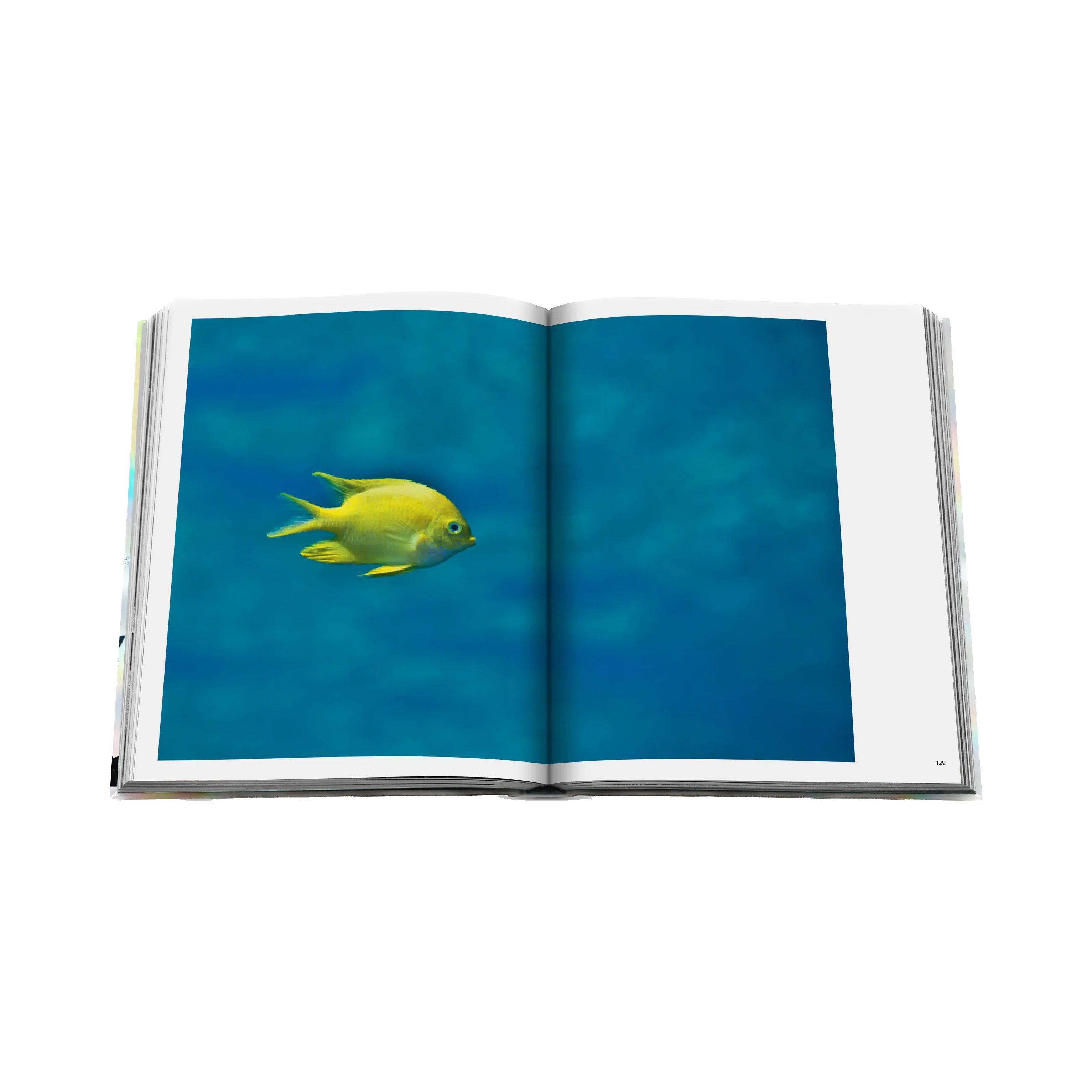 83495 ASSOULINE THE CORAL TRIANGLE LIVRO - Image 6