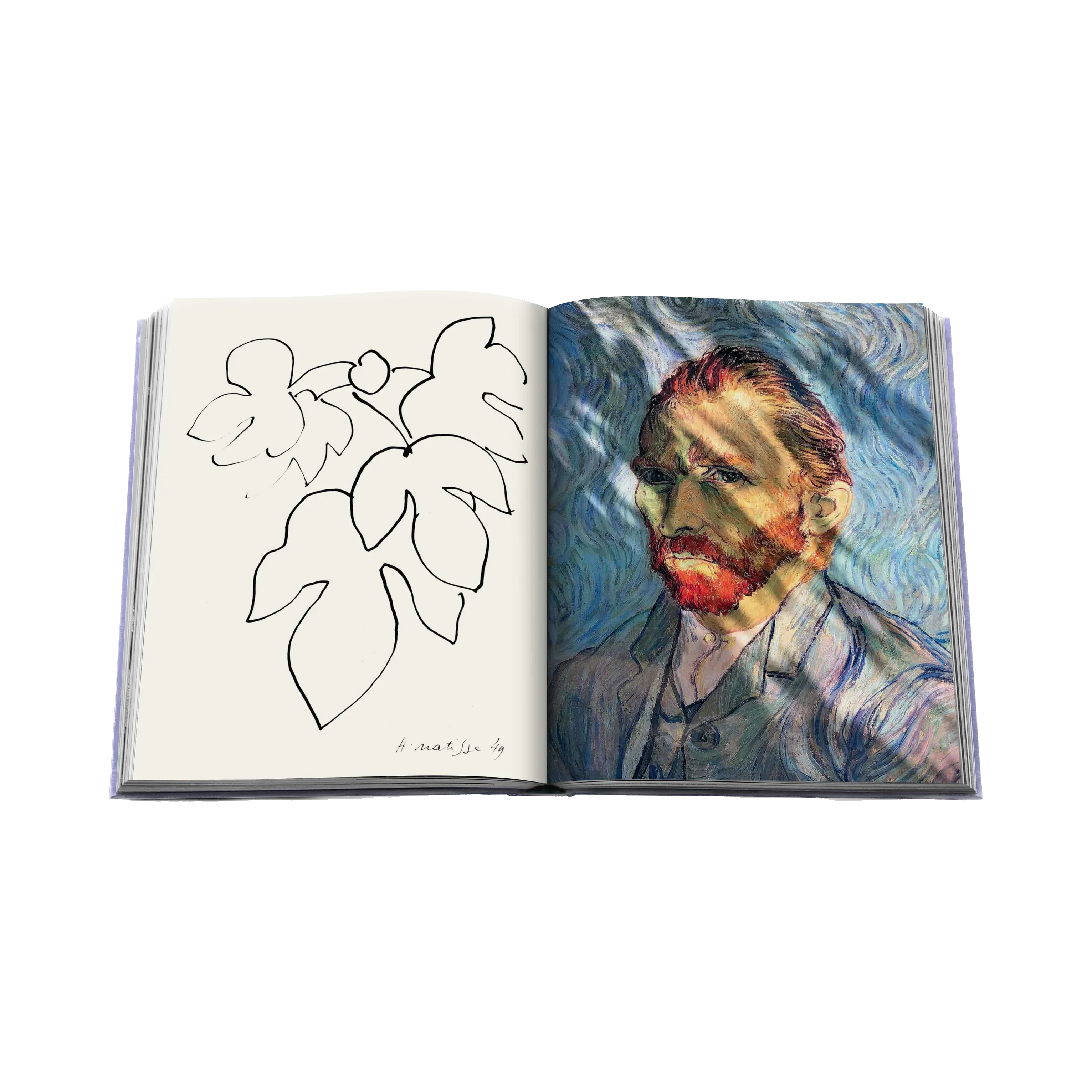 85092 ASSOULINE PROVENCE GLORY LIVRO - Image 3